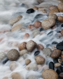 Shore