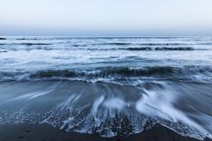 Sea Whisps