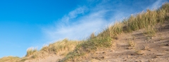 Dunes