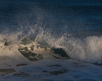 Splash