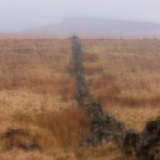 Monster in the Mist