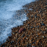 Brighton Beach