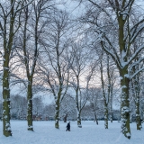 Winter Walk